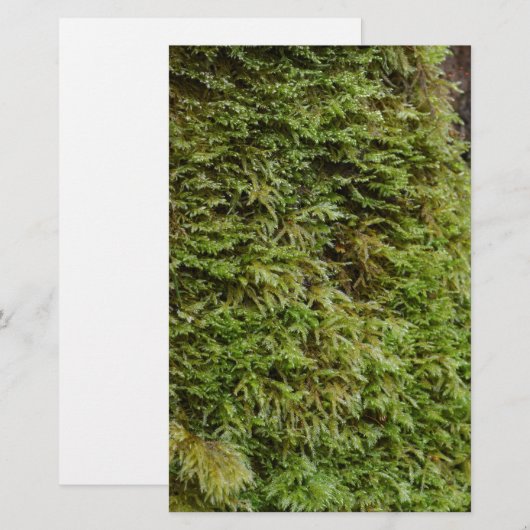 Green Moss Briefpapier (Voorkant / Achterkant)