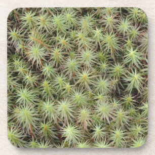 Green Moss Drankjes Onderzetter