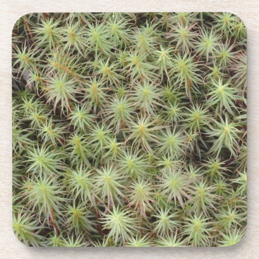 Green Moss Drankjes Onderzetter (Voorkant)