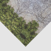 Green Moss & Earth Natuur Art Tissuepapier (Detail)