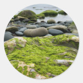 Green Moss Rocks Ronde Sticker (Voorkant)