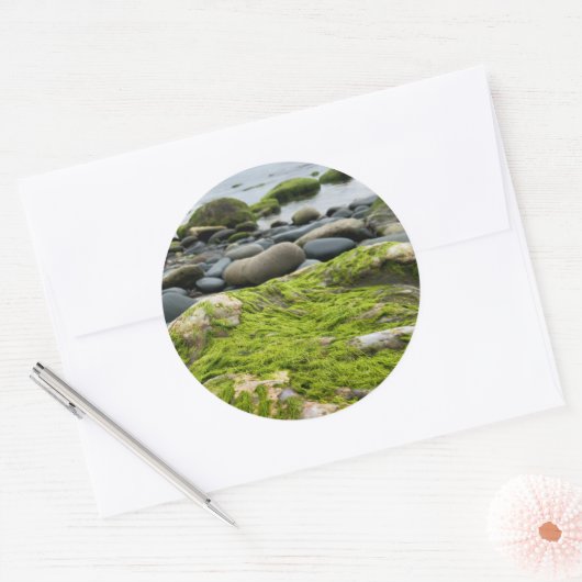 Green Moss Rocks Ronde Sticker (Envelop)