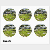 Green Moss Rocks Ronde Sticker (Vel)