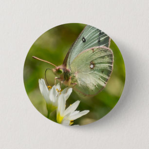 Green Moth on False Garlic Apparel en Gifts Ronde Button 5,7 Cm