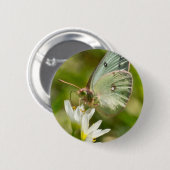 Green Moth on False Garlic Apparel en Gifts Ronde Button 5,7 Cm (Voorkant /achterkant)