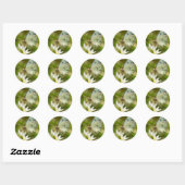 Green Moth on False Garlic Apparel en Gifts Ronde Sticker (Vel)
