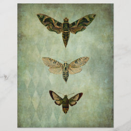 Green Moths Style Scrapbook Ephemera