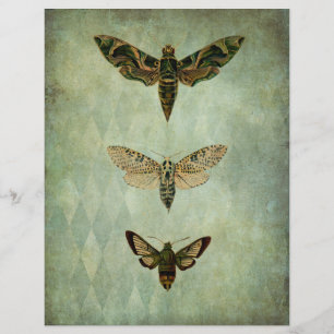 Green Moths Style Scrapbook Ephemera