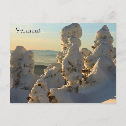 Green Mountains Vermont in Winter Briefkaart (Voorkant)