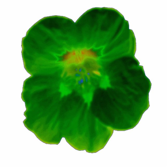 Green Nasturtium Photo Sculpture Staand Fotobeeldje (Voorkant)