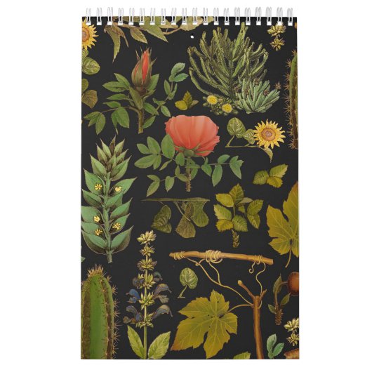 Green Natuur Cactus Kalender (Hoes)