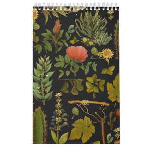 Green Natuur Cactus Kalender