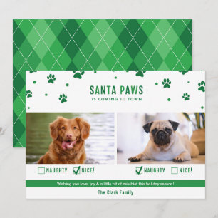 Green Naughty of Nice Two Dog Kerstfotokaart Feestdagenkaart