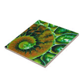 Green Nautilus Tegeltje (Zijkant)