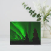 Green Northern Lights Briefkaart (Staand voorkant)