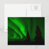 Green Northern Lights Briefkaart (Voorkant / Achterkant)
