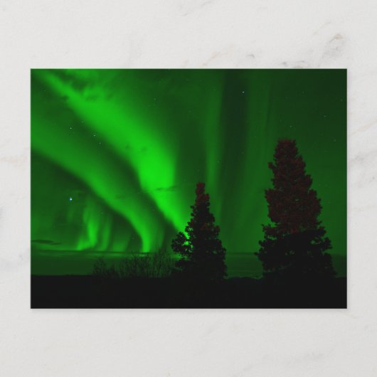 Green Northern Lights Briefkaart (Voorkant)