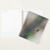 Green Orb Weaver Spider op Web School Classroom Planner (Display)