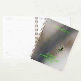 Green Orb Weaver Spider op Web School Classroom Planner