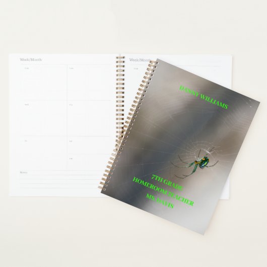 Green Orb Weaver Spider op Web School Classroom Planner (Display)