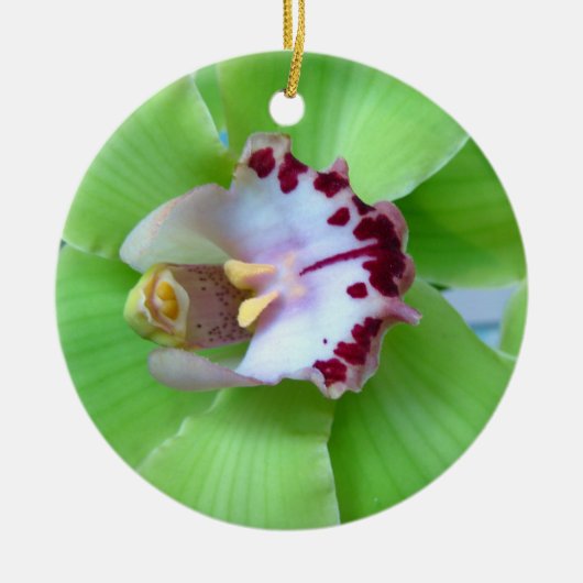Green Orchid Ornament (Voorkant)