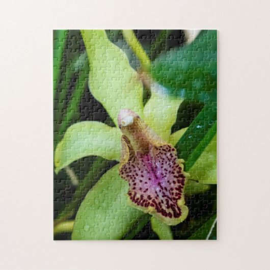 Green Orchid Puzzle Legpuzzel (Verticaal)