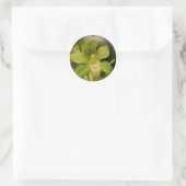 Green Orchid Ronde Sticker (Tas)