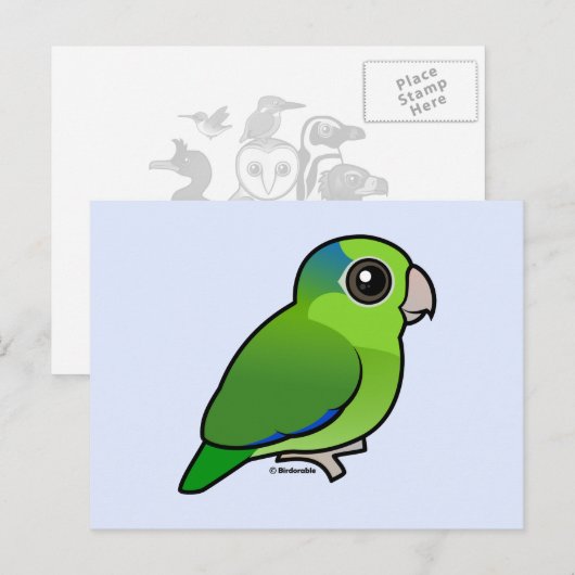 Green Pacific Parrotlet Briefkaart (Voorkant / Achterkant)
