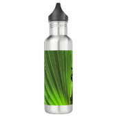 Green Palm Frond Waterfles (Links)