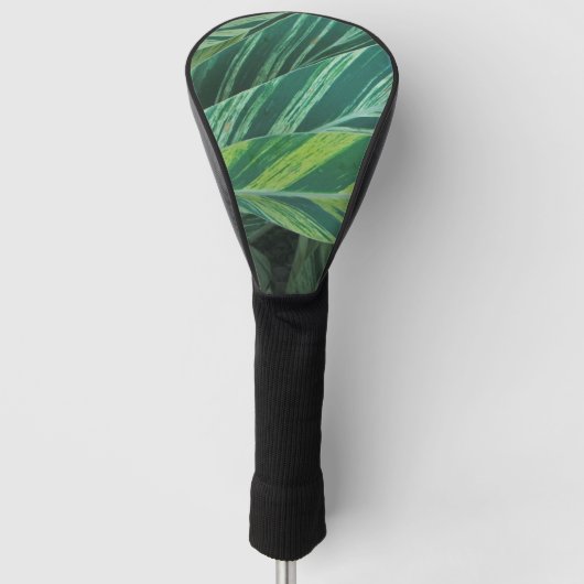 Green Palm Leaves Natuur Summer Beach Golfheadcover (Voorkant)