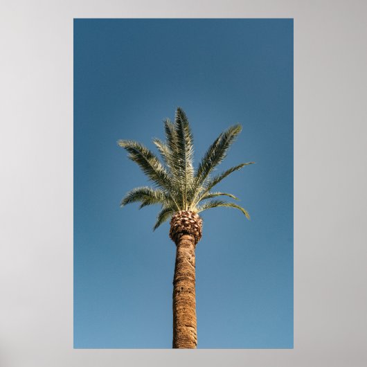 Green palm tree under blue sky in the morning poster (Voorkant)