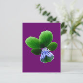Green Pansy Briefkaart (Staand voorkant)