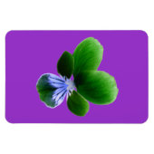 Green Pansy Premium Magnet Magneet (Horizontaal)