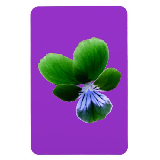 Green Pansy Premium Magnet Magneet (Verticaal)
