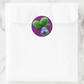 Green Pansy Sticker (Tas)