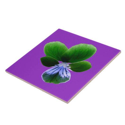 Green Pansy Tile Tegeltje (Zijkant)