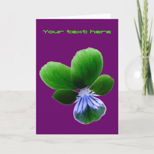 Green Pansy  Wenskaart Kaart