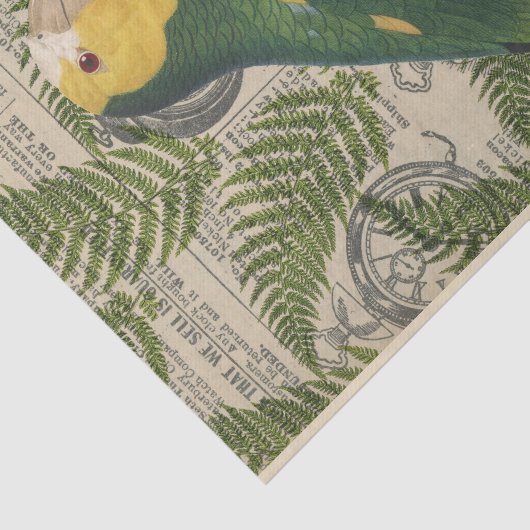 -Green-papegaai Tissuepapier (Detail)