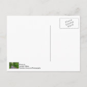 Green Paradise Briefkaart (Achterkant)