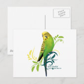 Green Parakeet Briefkaart (Voorkant / Achterkant)