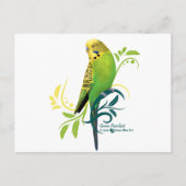 Green Parakeet Briefkaart (Voorkant)