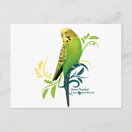 Green Parakeet Briefkaart (Voorkant)
