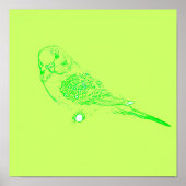 Green Parakeet Poster (Voorkant)