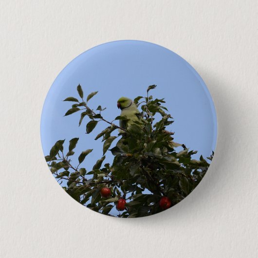 Green Parakeet Ronde Button 5,7 Cm (Voorkant)