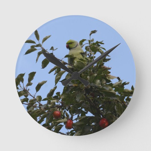 Green Parakeet Ronde Klok (Voorkant)