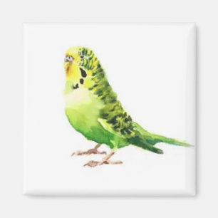 Green Paraket Magnet