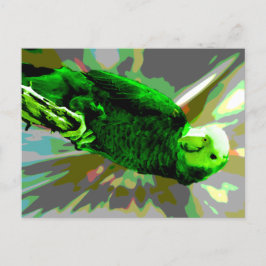 Green Parrot 6537 Briefkaart