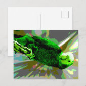 Green Parrot 6537 Briefkaart (Voorkant / Achterkant)
