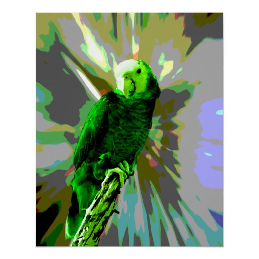Green Parrot 6537 Perfect Poster (Voorkant)