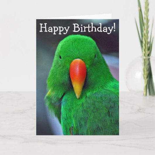 Green parrot birthday greeting card kaart (Voorkant)